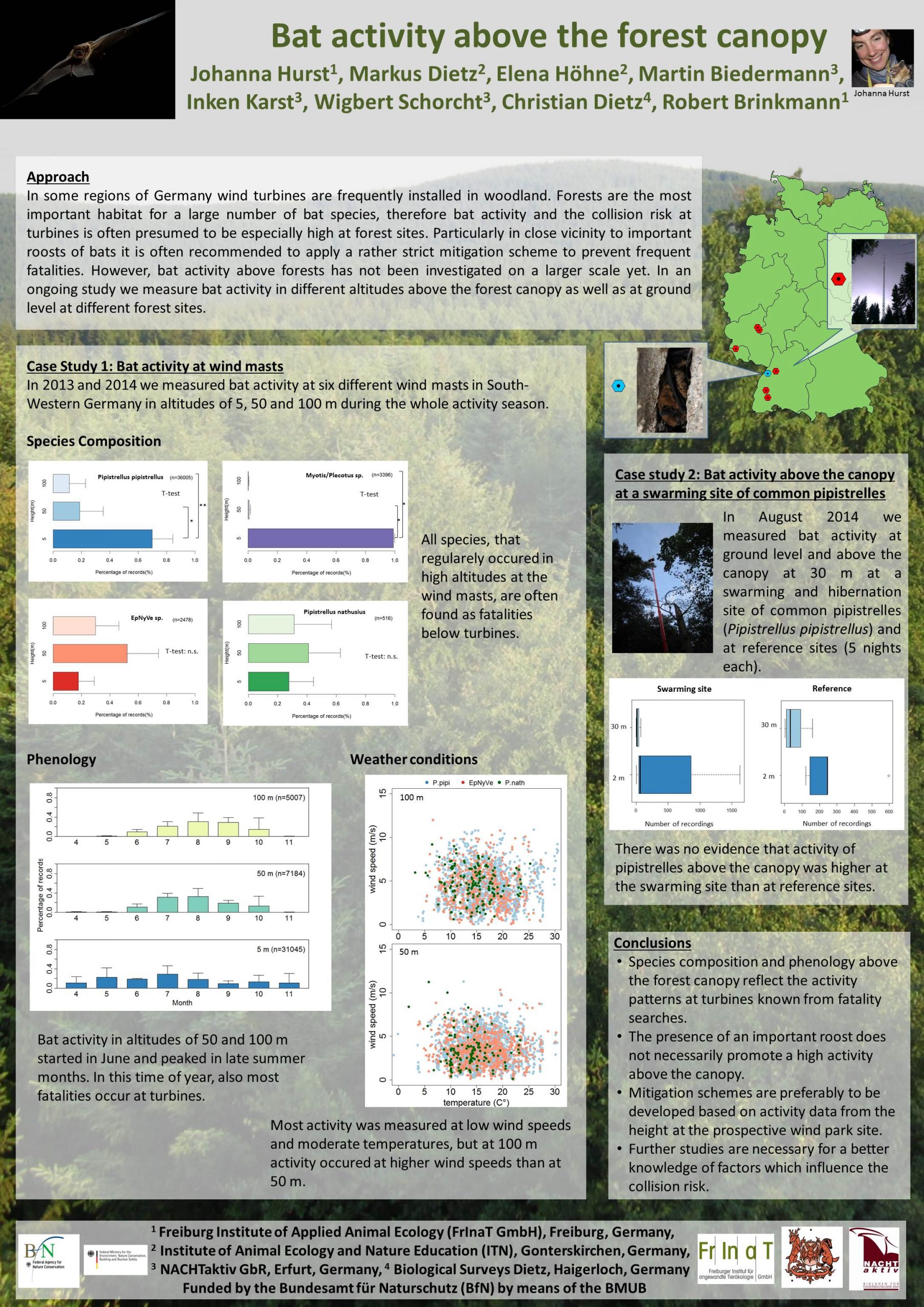 Bat_activity_above_the_forest_canopy
