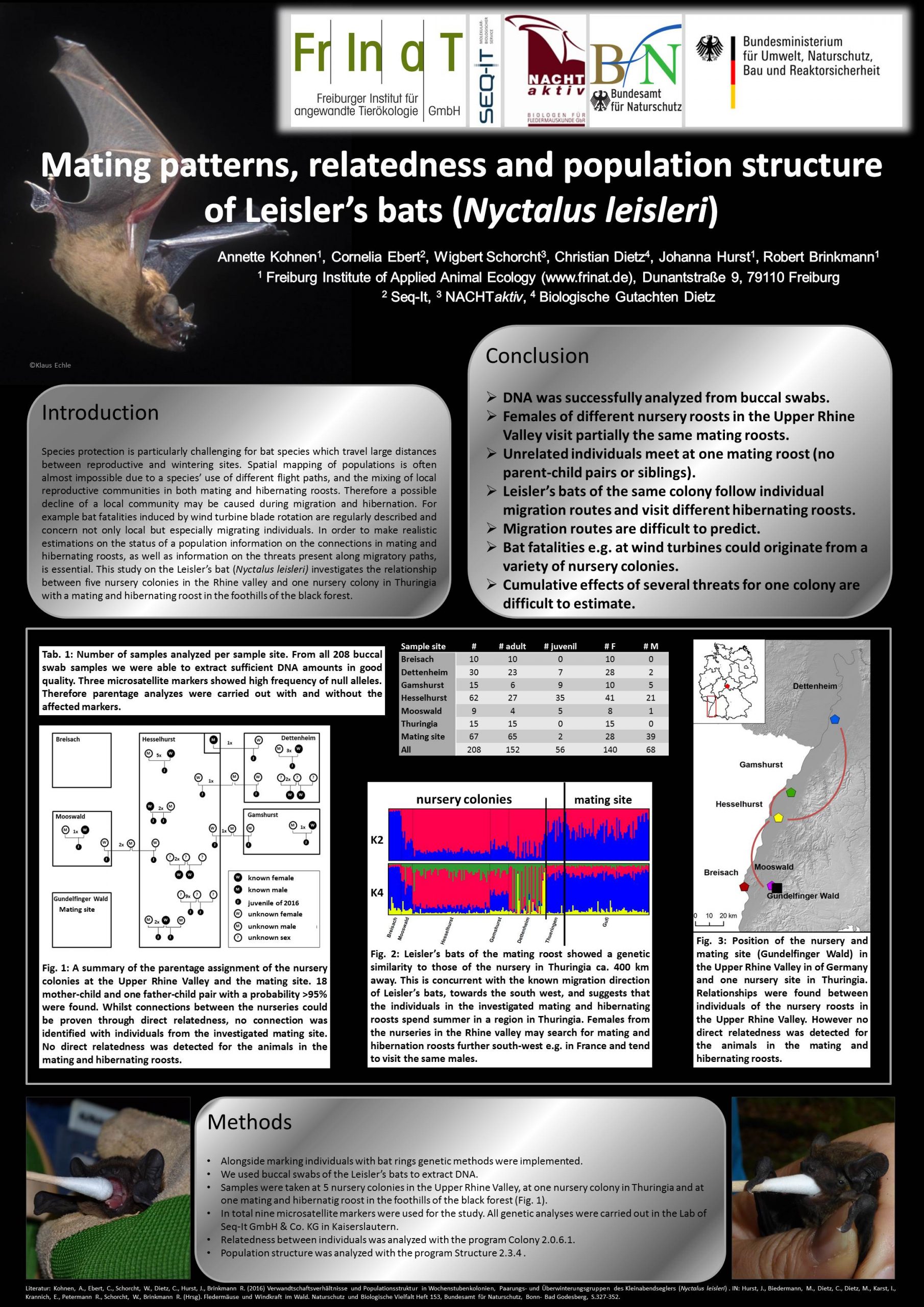 Genetik_Kleinabendsegler_Kohnen