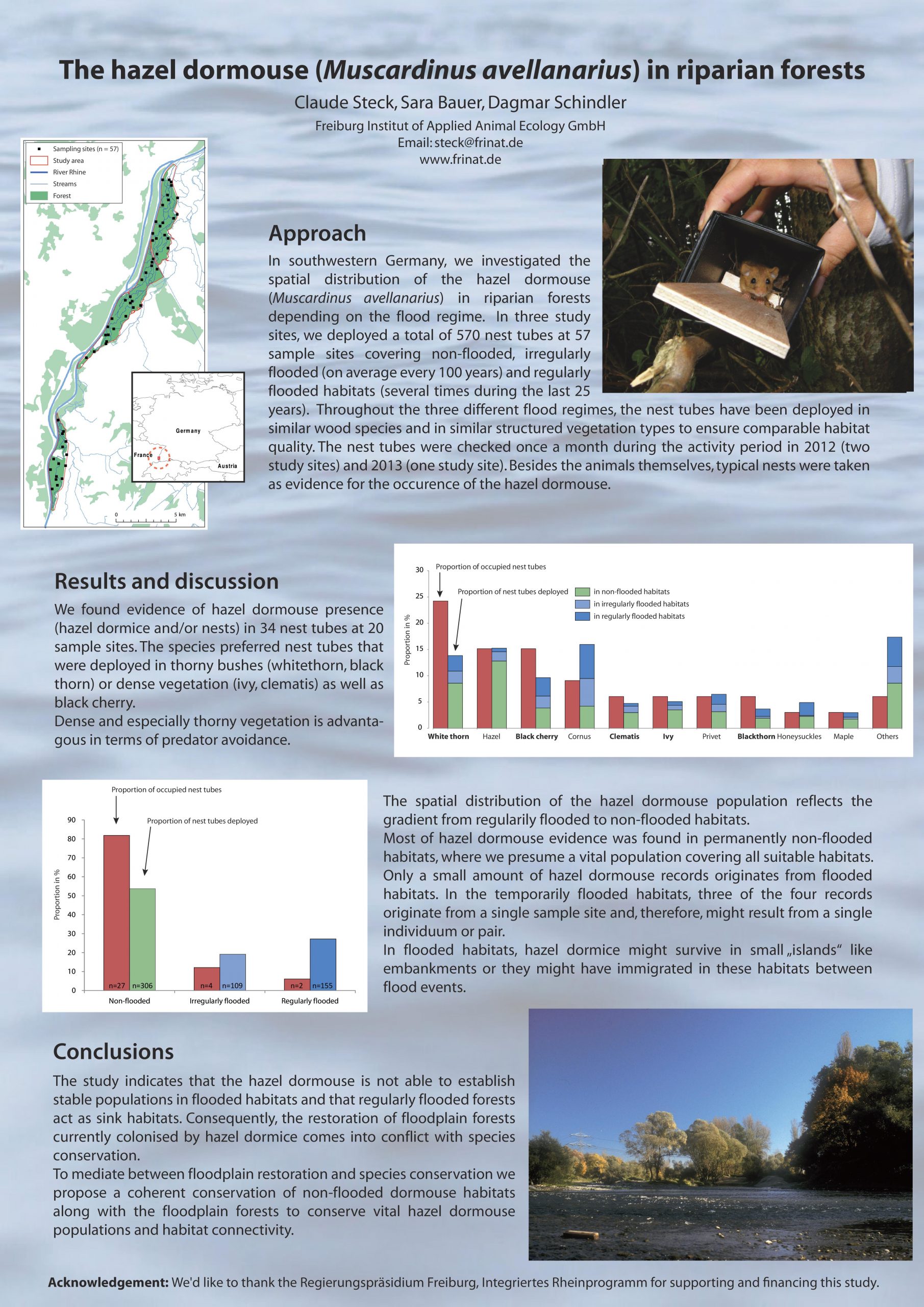 Poster_Steck_Bauer_Schindler_2014_klein