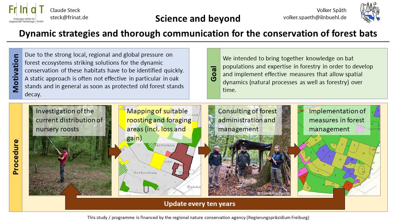 Poster_Steck_Spth_Berlin_Bat_Meeting_2021