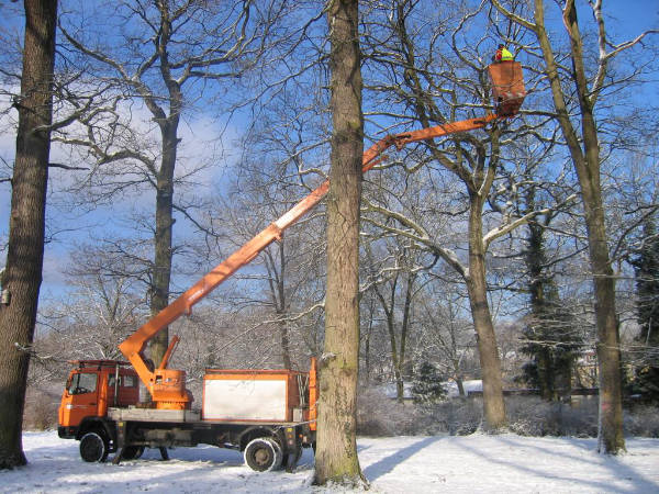 oekologische-baubegleitung